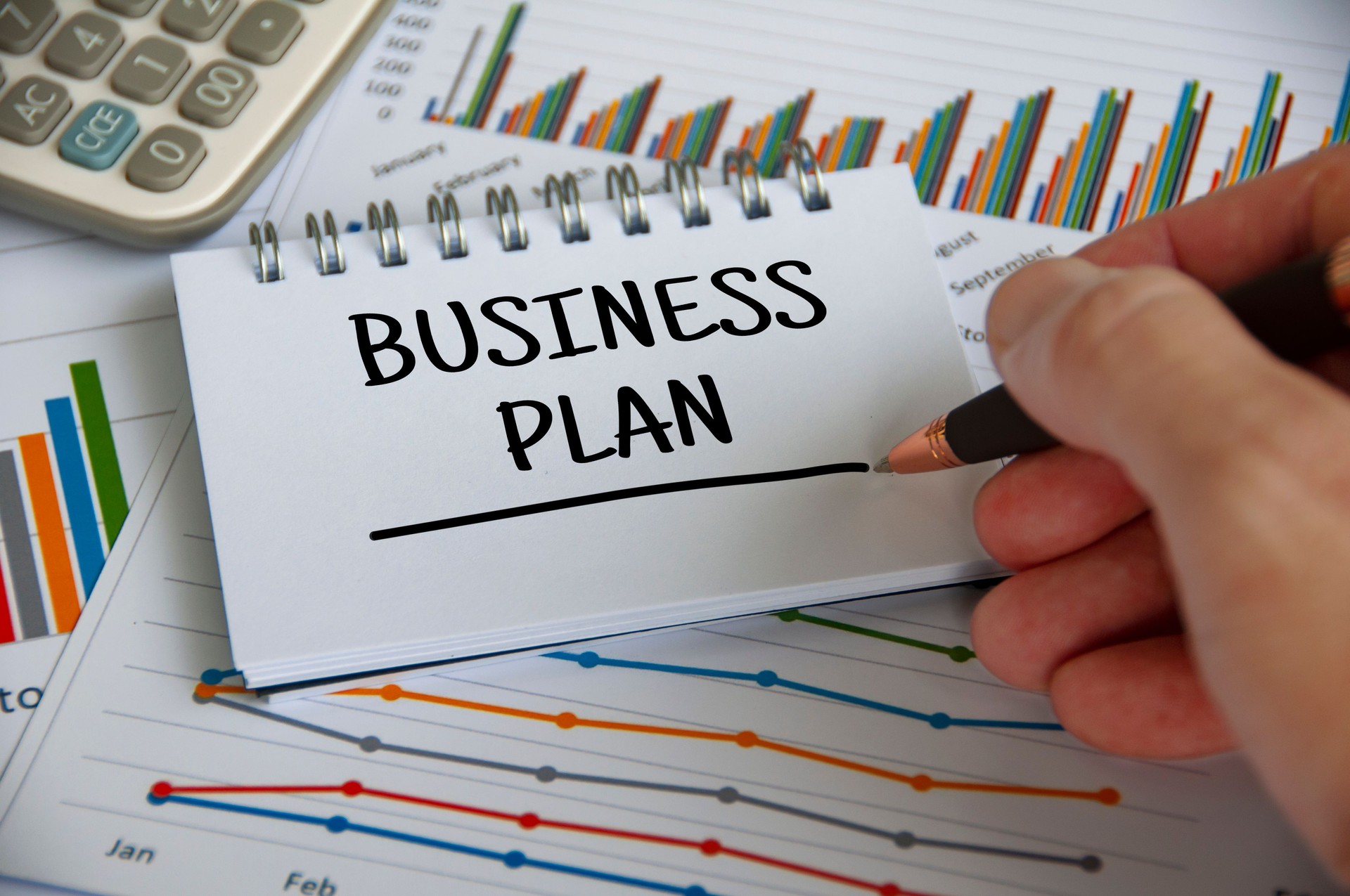 Develop Convincing Business Plan, Polish Business Plan 